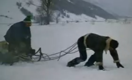 rocky-pulling-sled.png