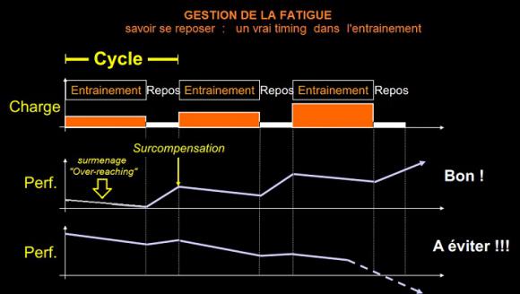 surcompensation-1.jpg