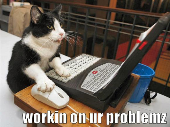 error-lolcat-problemz.jpg