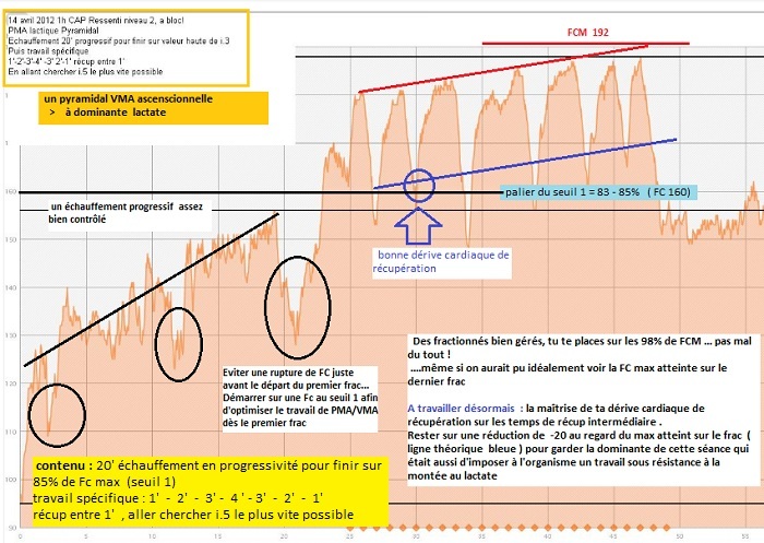 pyramidal VMAa.jpg